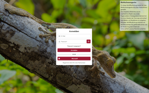 Screenshot 2025-08-25 151734